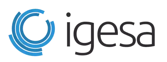 Logo of Igesa srl where I worked as a [object Object]
